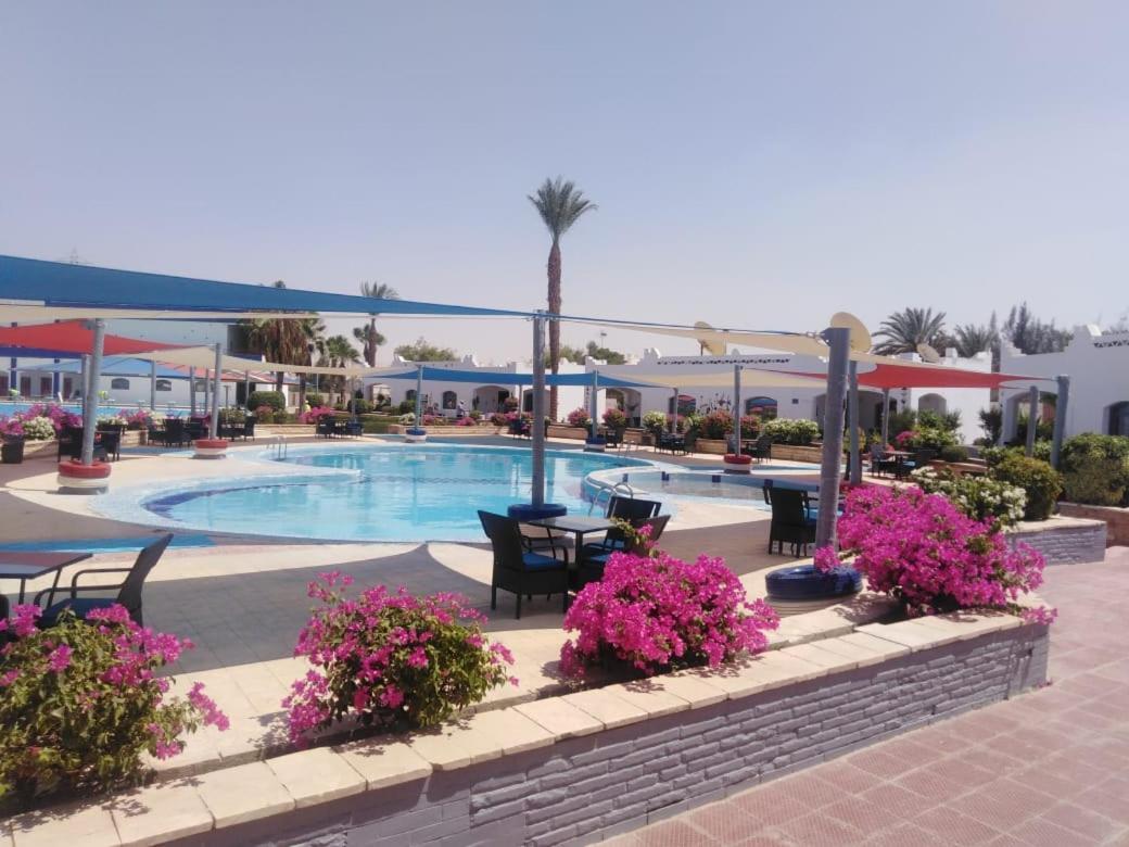 Assiut Cement Hotel Buitenkant foto